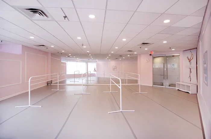 SJ Ballet No 1 Picture 9