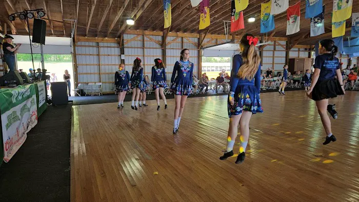 Farrell School of Irish Dance Picture 7