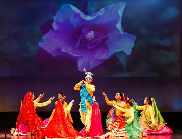 Tarana Dance Academy New Jersey Picture 7