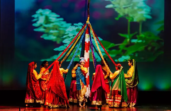 Tarana Dance Academy New Jersey Picture 3