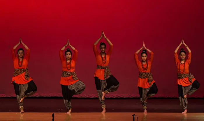 Tarana Dance Academy New Jersey Picture 8