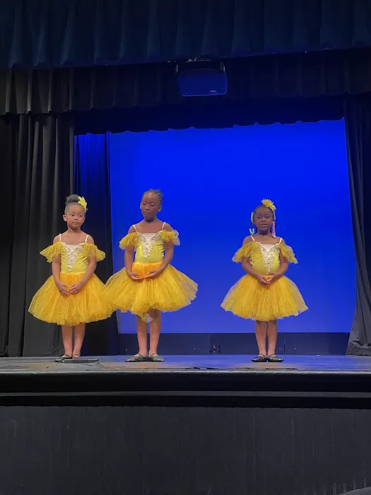 Dance In Motion Picture 5