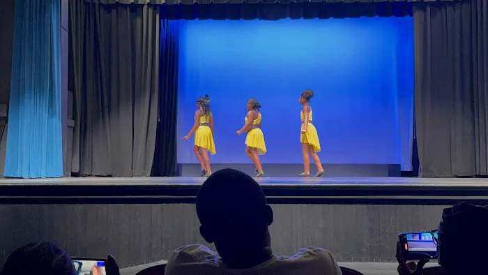 Dance In Motion Picture 6