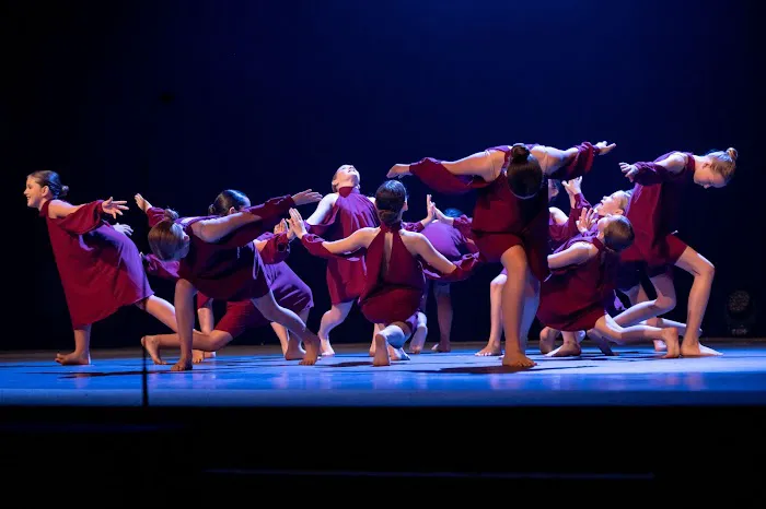 Woodland Fine Arts Academy Picture 6