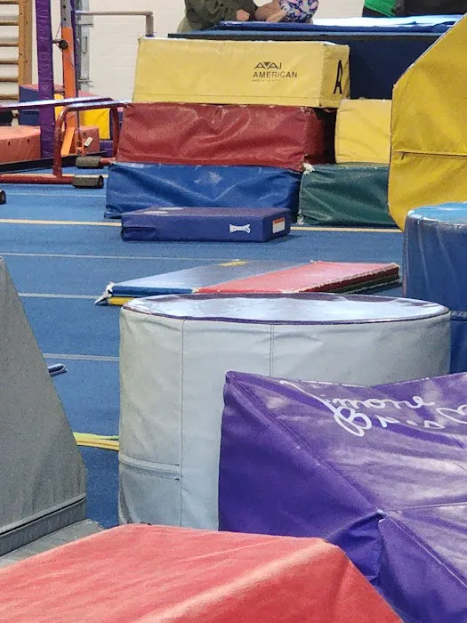 National Academy of Artistic Gymnastics Picture 2