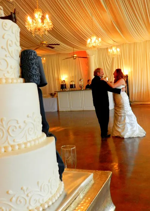 Wedding Dance to Remember Picture 5