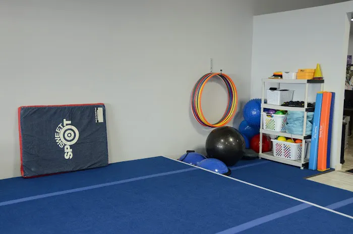 Technique Tumbling & Cheer Prep Picture 4
