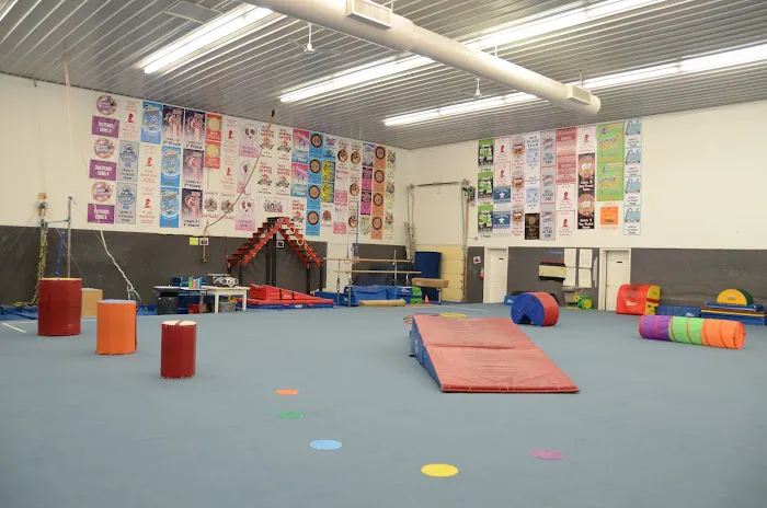 Gymnastics Etc. Picture 4