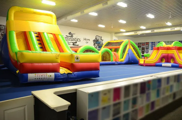 Gymnastics Etc. Picture 3