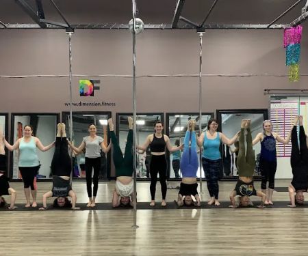 Dimension Fitness