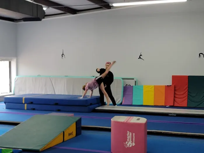 Academy of Tumble & Cheer Picture 4