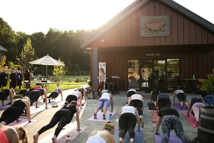 Barre Forward - Barre Studio in Annapolis/Severna Park area Picture 2