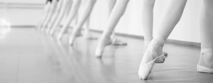 Farber Ballet, Inc. Picture 4
