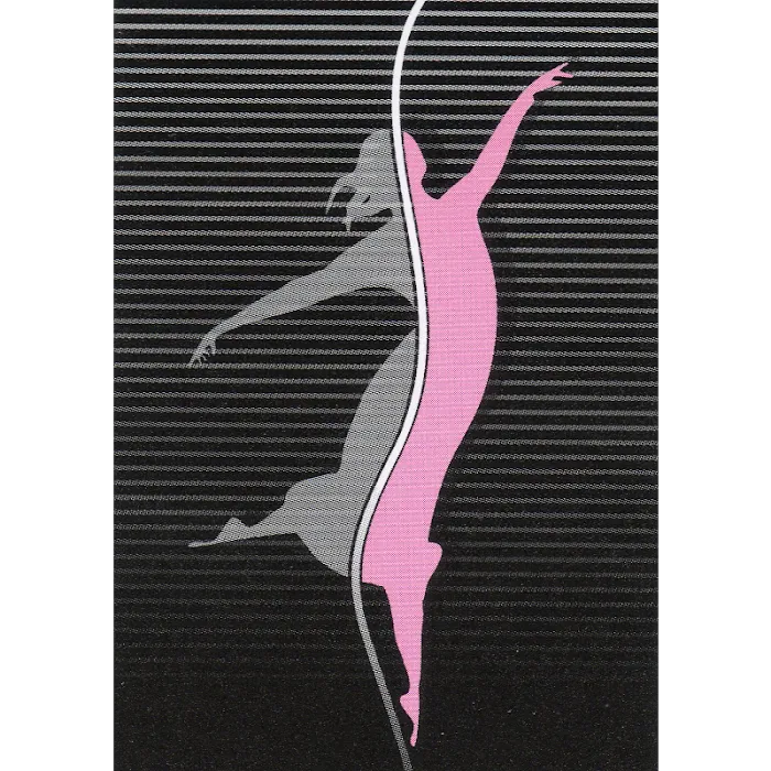 Farber Ballet, Inc. Picture 6