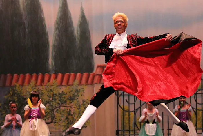 Farber Ballet, Inc. Picture 3