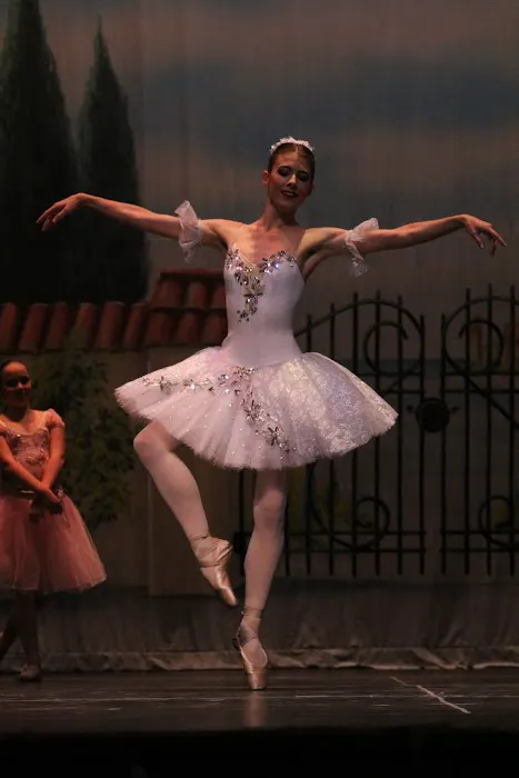 Farber Ballet, Inc. Picture 7
