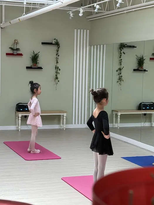 MVP Dance Complex Picture 1