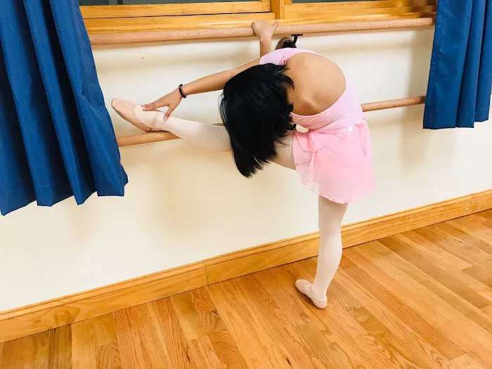 Ballet Factory Picture 8