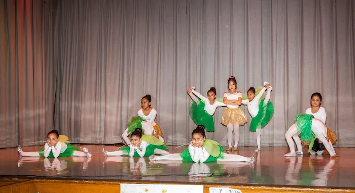 Ballet Factory Picture 2