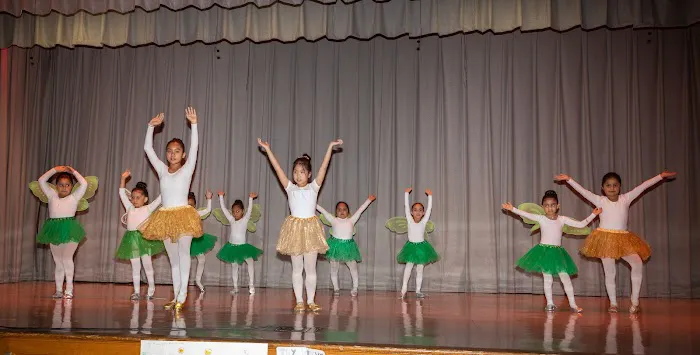Ballet Factory Picture 4