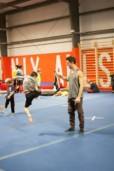 Trick Dynamix Picture 8