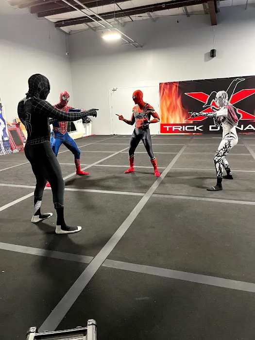 Trick Dynamix Picture 4