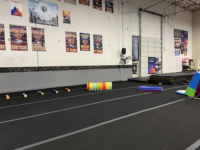 Thunder Elite All-Star Cheerleading Inc. (Tumbling and training center) Picture 2
