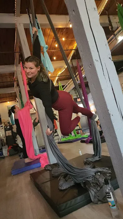 Aerial Arts Fitness Picture 7