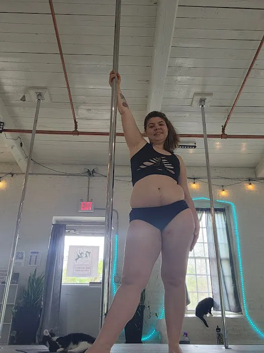 Aerial Arts Fitness Picture 5
