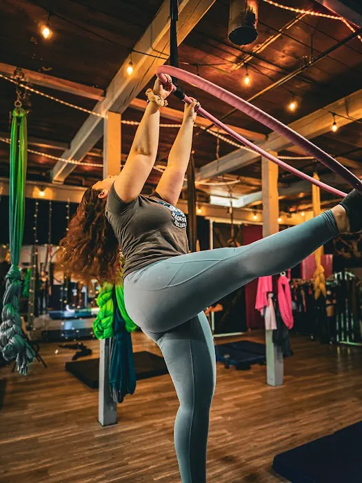 Aerial Arts Fitness Picture 6