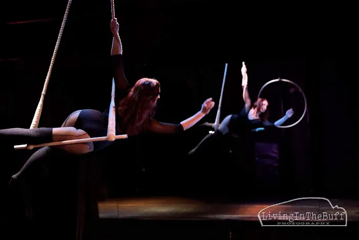 Buffalo Aerial Dance Picture 5