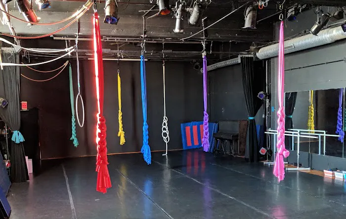Buffalo Aerial Dance Picture 9