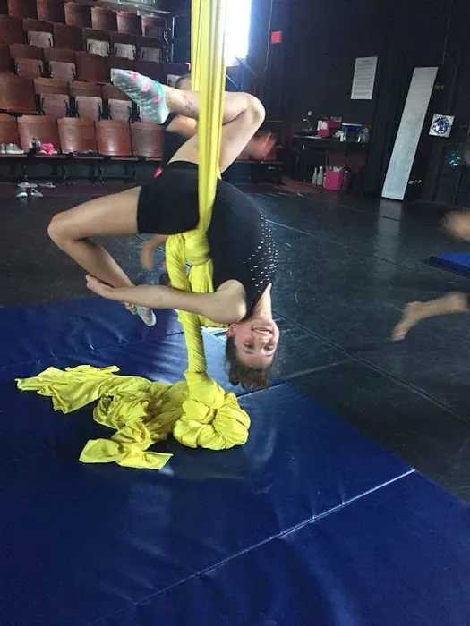 Buffalo Aerial Dance Picture 2