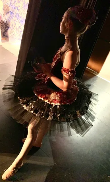 Santiam Ballet Academy Picture 8