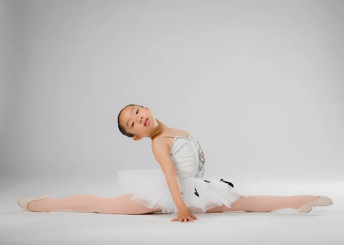 bdaconservatory.com Picture 6