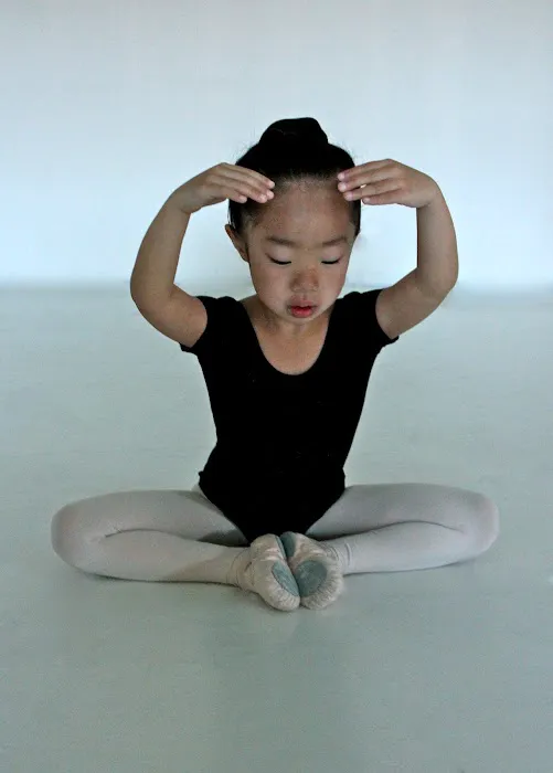 bdaconservatory.com Picture 2