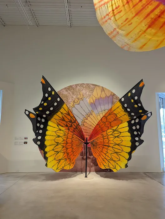 The Pivot Center for Art, Dance and Expression Picture 4