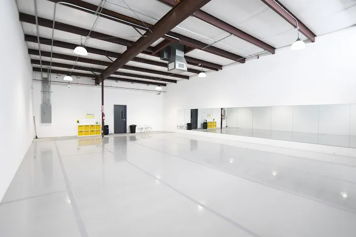 Shine Dance Collaborative Picture 3