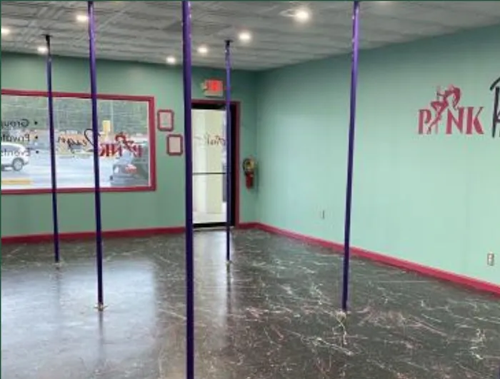Pink Reign Dance Studio Picture 1