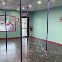 Pink Reign Dance Studio ico