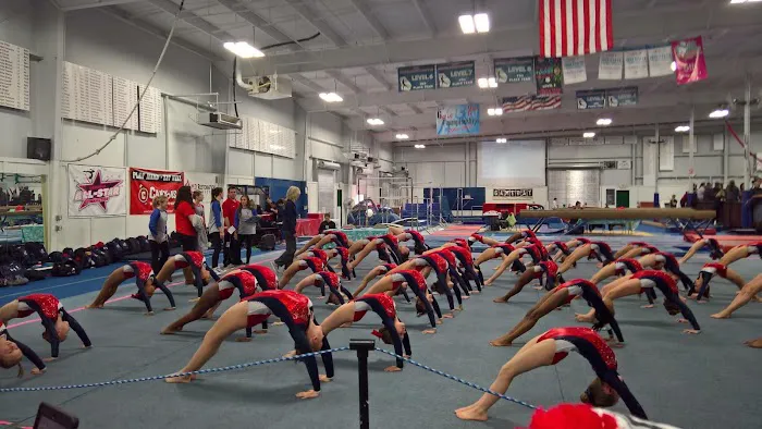Elite Gym USA Picture 2