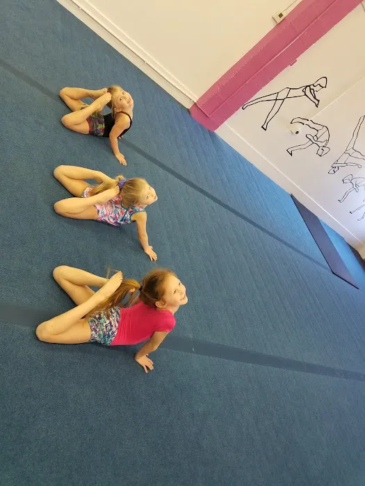 Studio R Acrobatics & Tumbling Picture 2