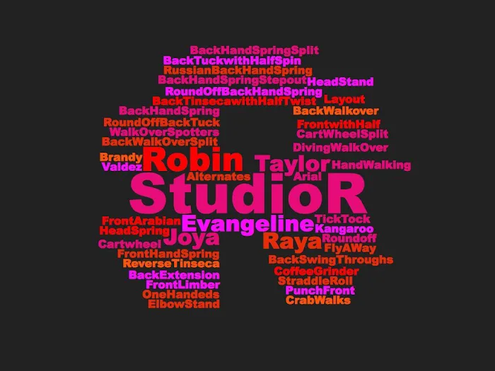 Studio R Acrobatics & Tumbling Picture 5