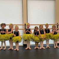 Artistry Dance Studio ico