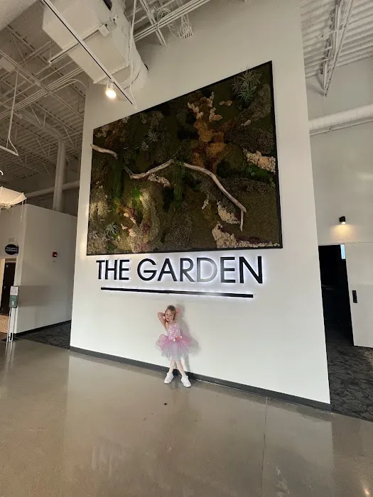 Bloom Dance Studio - Oakview Picture 1