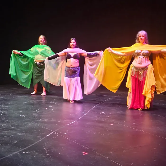 Omaha Belly Dance Picture 10