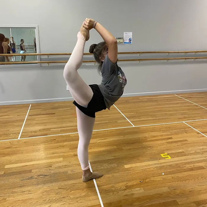 The Dancers Edge Picture 7