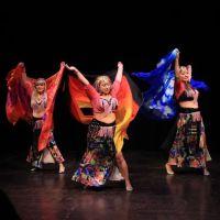Dance Dream Studio ico
