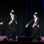 Flamenco Omaha