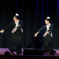 Flamenco Omaha ico